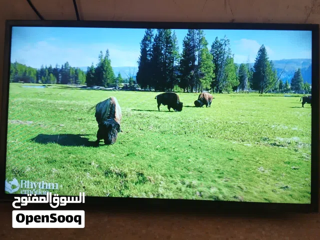 شاشه دكسون