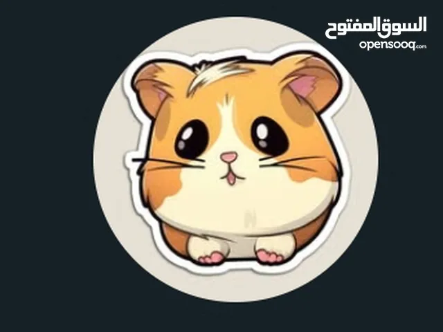 متجر بيع الهامستر