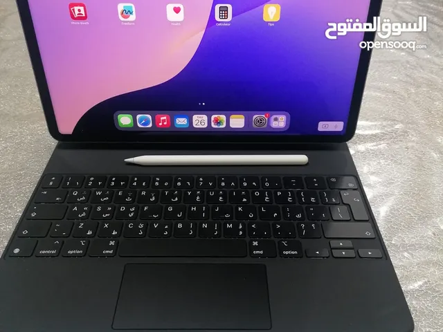 Ipad pro 2TB 6 generation