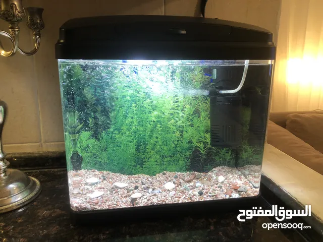 حوض سمك بحاله ممتازه