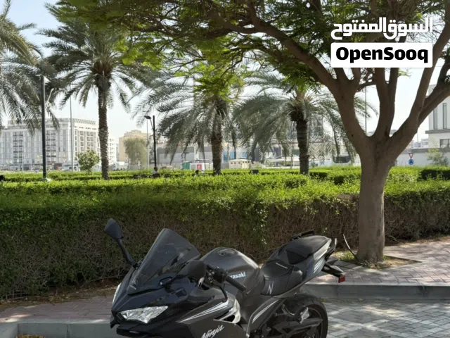 2022 Kawasaki Ninja 400