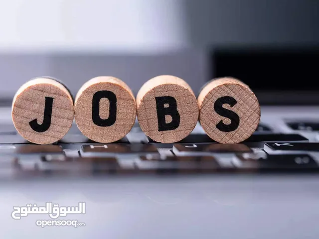 Job وظيفة