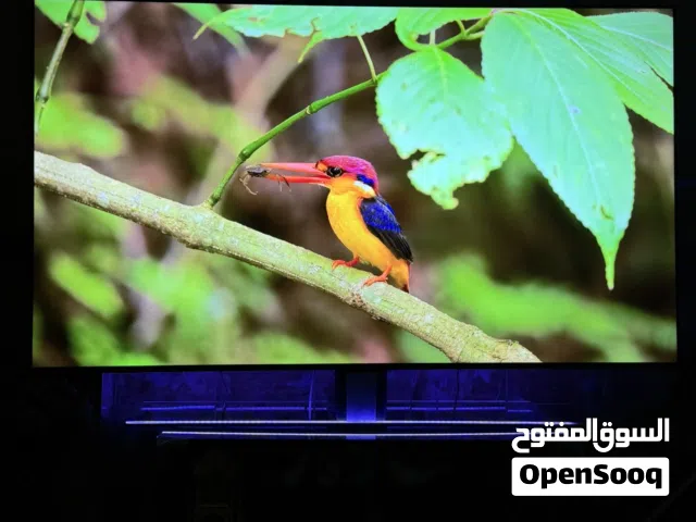 شاشه tcl حجم 85 فول سمارت Qled 4k