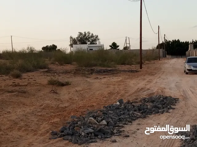 Farm Land for Sale in Tripoli Wadi Al-Rabi