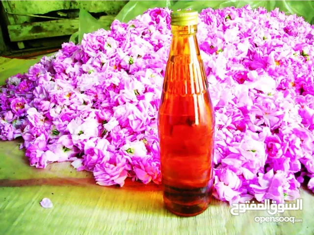 ماء الورد الجبل الاخضر اصلي