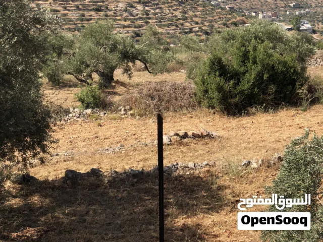 Residential Land for Sale in Ramallah and Al-Bireh Kafr Ein