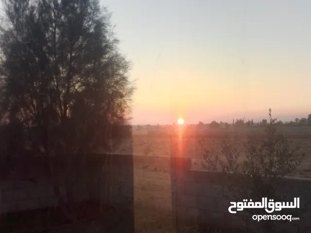 بيت عدد 2 مسطح كل بيت 100م مساحة الارض 2 دونم
