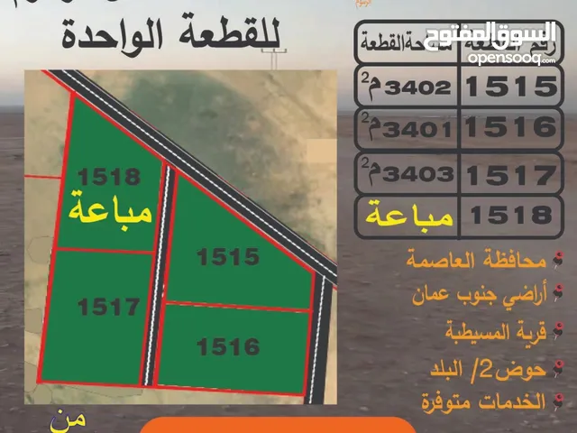 Farm Land for Sale in Amman Airport Road - Manaseer Gs