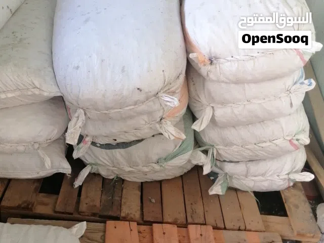 سح نفيعه جواني كبار