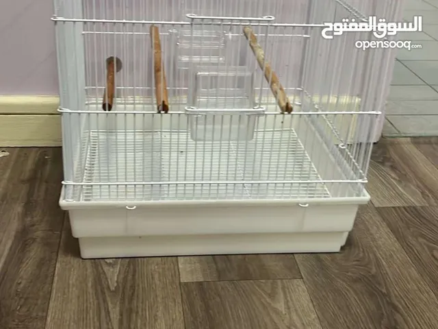 للبيع قفص نضيف