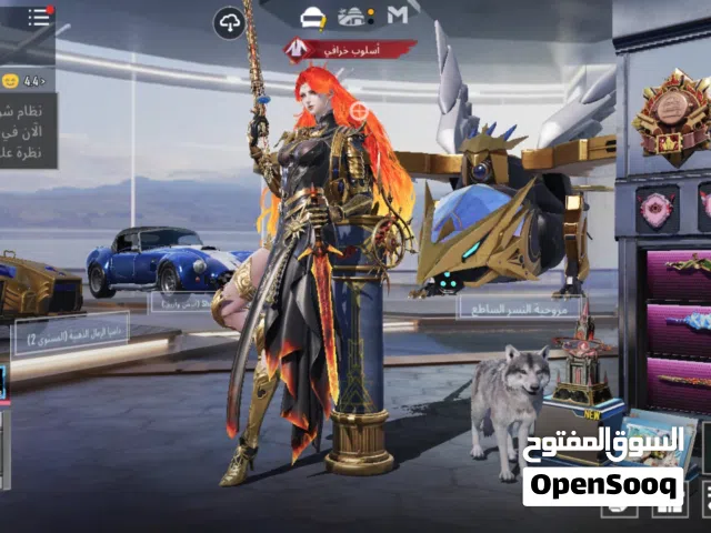 Pubg Accounts and Characters for Sale in Zarqa