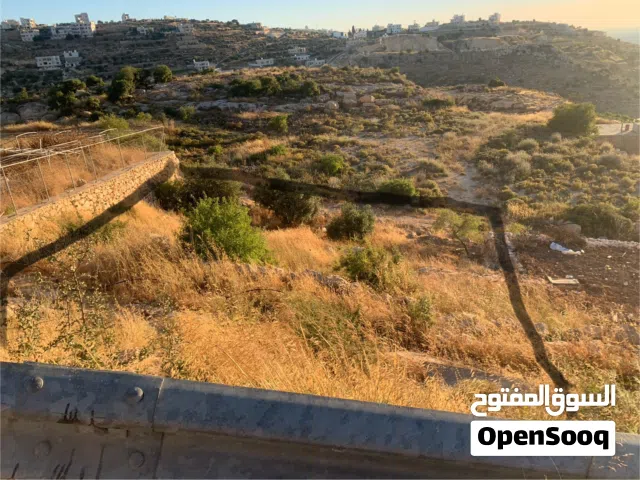 Residential Land for Sale in Hebron Tapuah