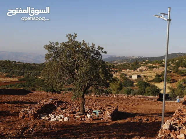 Mixed Use Land for Sale in Jerash Soof