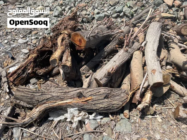 يتوفر لدينا حطب سمر وسدر