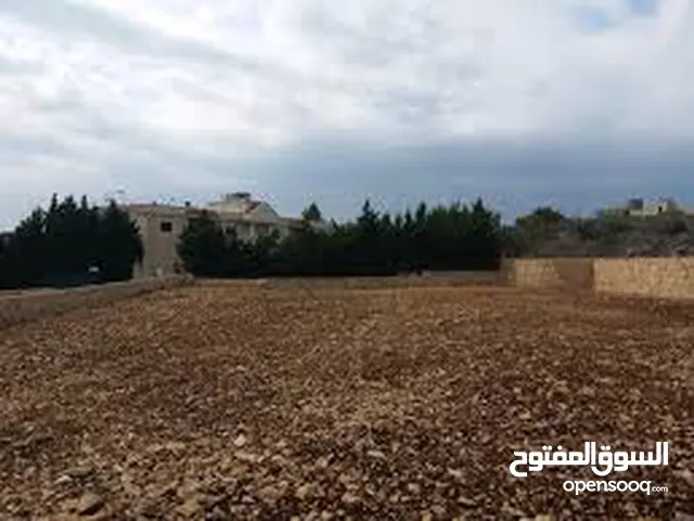 Mixed Use Land for Sale in Beirut Hamra