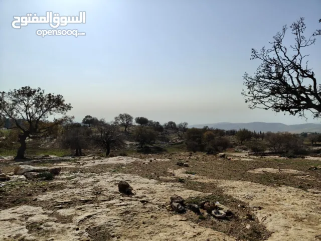 أرض ذات اطلالة مميزة للبيع بدر الجديدة مساحة 4000 متر حوض ام عبهرة بالقرب من الكاشف على شارعين