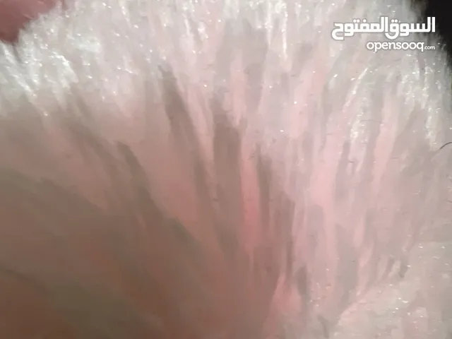غرفة برايفت