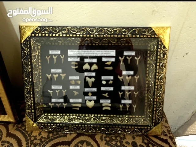 لوحة انياب فوسفاطية