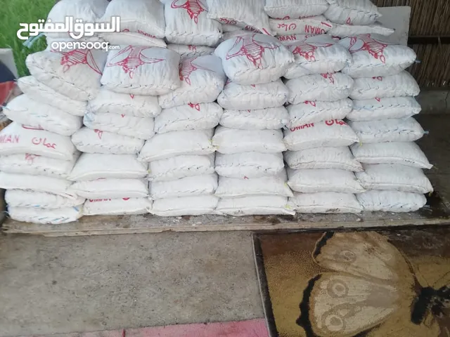 نفيعه تمر انتاج السنه