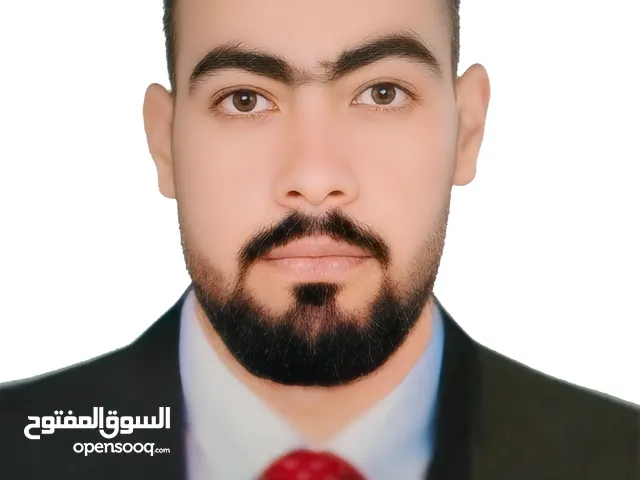 احمد ابو النجاه سلامه