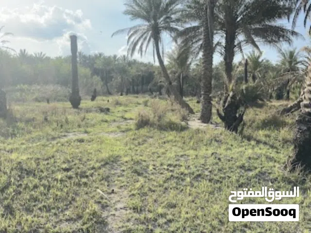Mixed Use Land for Sale in Diyala Miqdadiyah