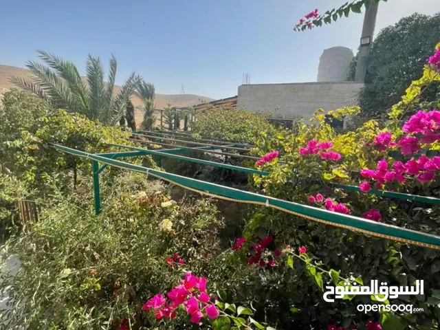متوفر اراضي مساحات كبيره 100 دونم واكثر باسعار مناسبه