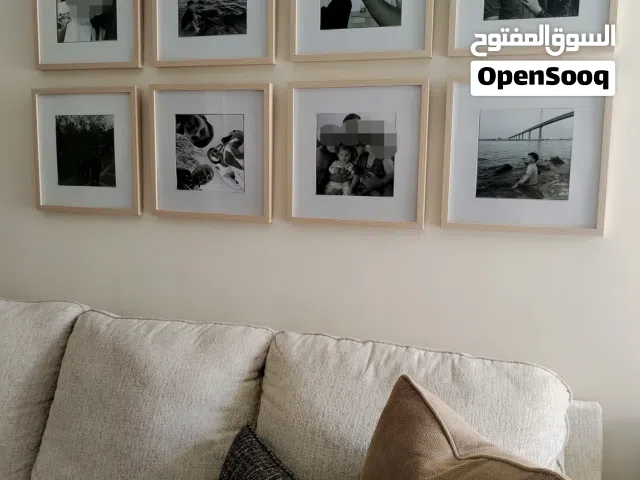 تخم قنفات آشلي الامريكي جديد للبيع