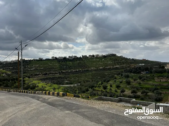 Residential Land for Sale in Amman Al-Jabal Al-Akhdar