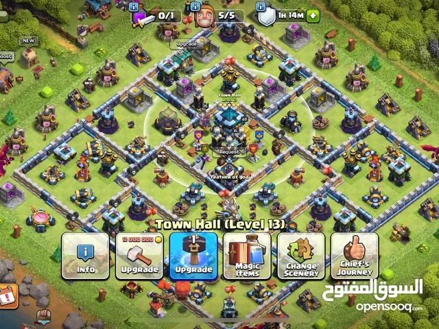 Max town hall 13