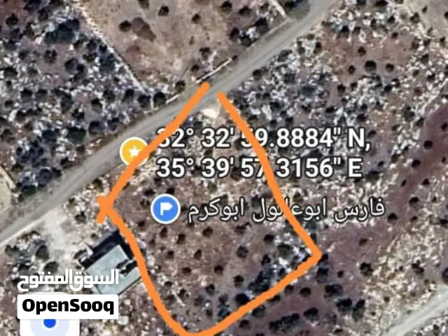 Farm Land for Sale in Irbid Taybeh District