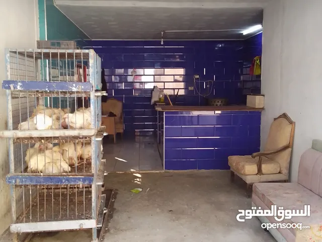 محل دجاج للبيع 