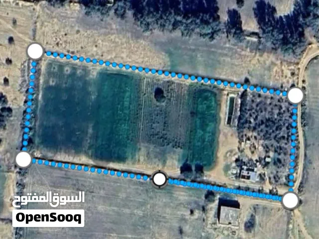 Farm Land for Sale in Zawiya Other