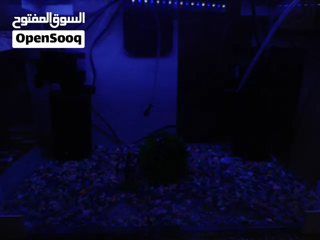 حوض الاسماك ( جديد مابي خدش)
