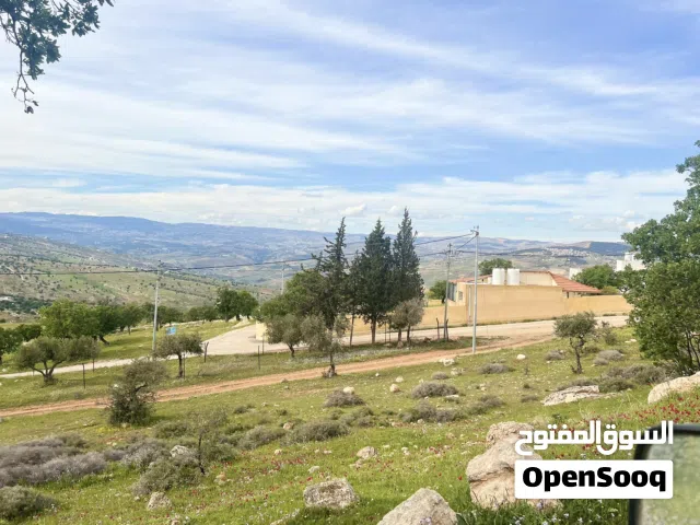 قطعه ارض بمنطقه العالوك مساحه 3400 متر إطلاله رائعه جدا   تبعد عن شارع الأردن 9 كيلو فقط