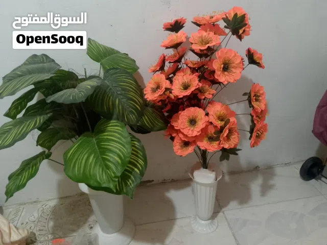 مزهريات ورد جديد للبيع