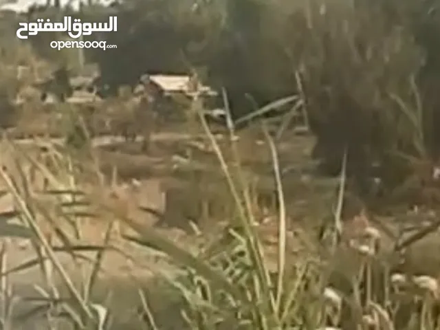 ارض طابوا زراعي صرف للبيع