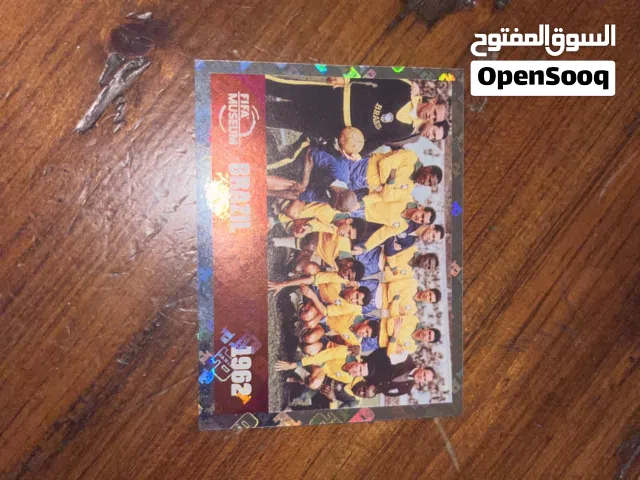 (ULTRA RARE) 1962 OFFICIAL PANINI BRAZIL TEAM CARD