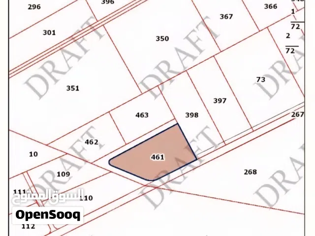 Farm Land for Sale in Amman Al-Quneitirah