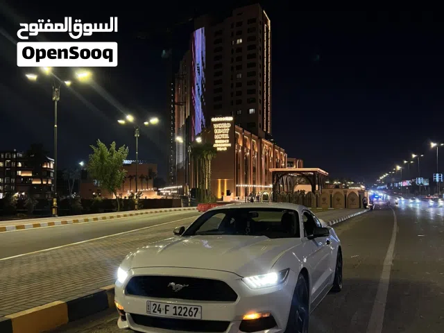 Used Ford Mustang in Baghdad