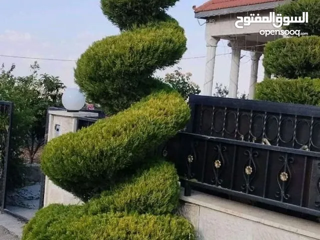 تنسيق الحدائق المنزليه وتشكيل أشجار الزينه وقص كافة الأشجار وتلقيمها