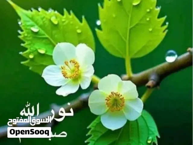 فيلا من دورين للايجار طريق الشط