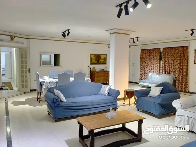 Furnished Yearly in Giza Dokki