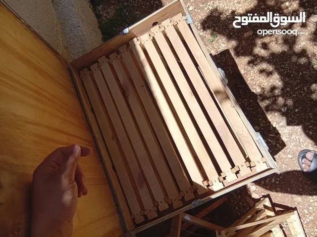 منزل نحل مع 10 براويز
