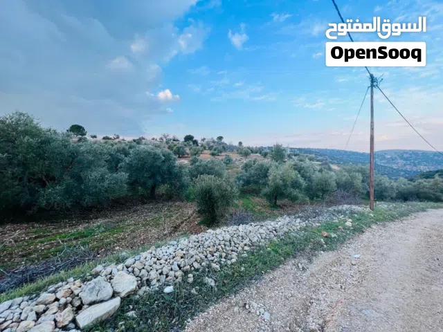 Mixed Use Land for Sale in Ajloun Sakhra