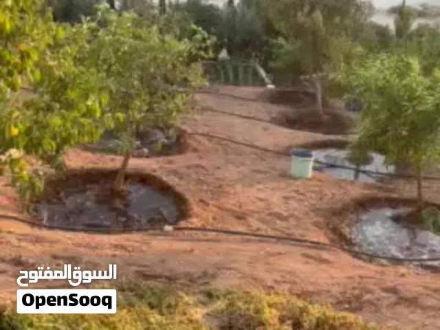 قطعه ارض في ام رمانه حوض دغليب