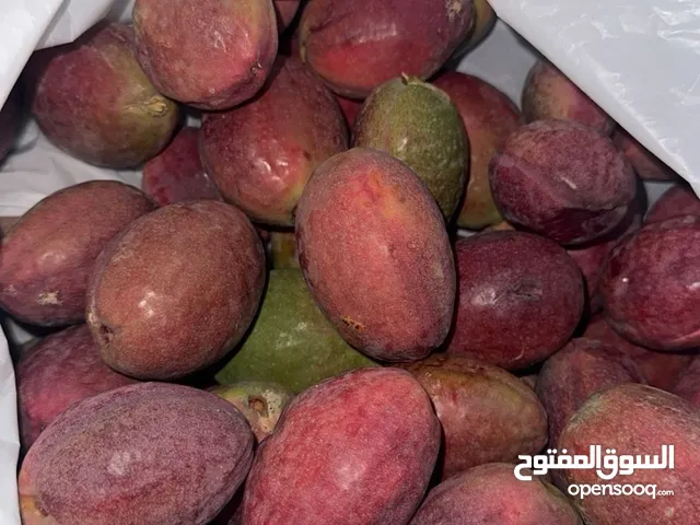 بيذام انتاج محلي طازج للبيع الكيلو ب ريال فقط سارع ب الحجز فوراً تواصل واتس فقط اتصال لا تتصل