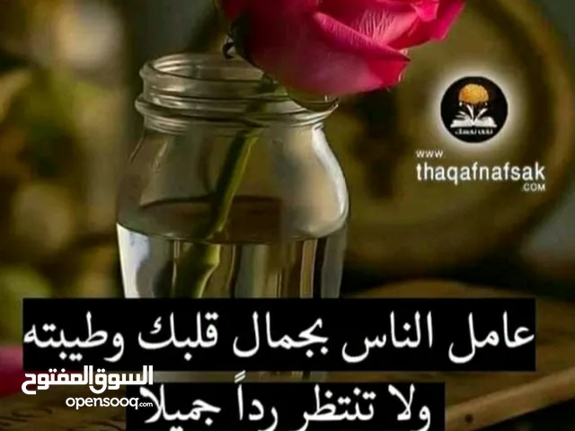 حمزه زنتاني