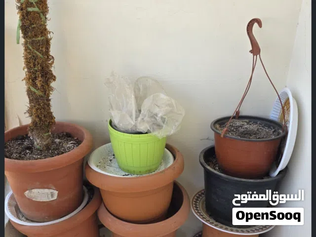Mixed size Garden plant pots with Good Fertiliser & compost ..each 1 rial all for 10 rials
