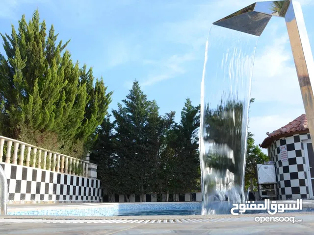 Farm Land for Sale in Zarqa Al-Alouk