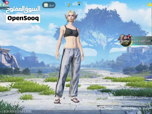 Pubg Accounts and Characters for Sale in Bani Walid